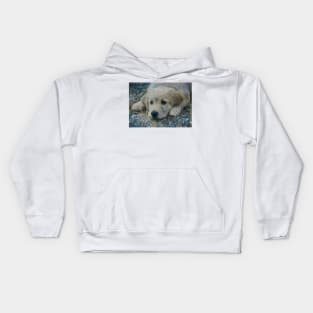 Finnegan Golden Pup Kids Hoodie